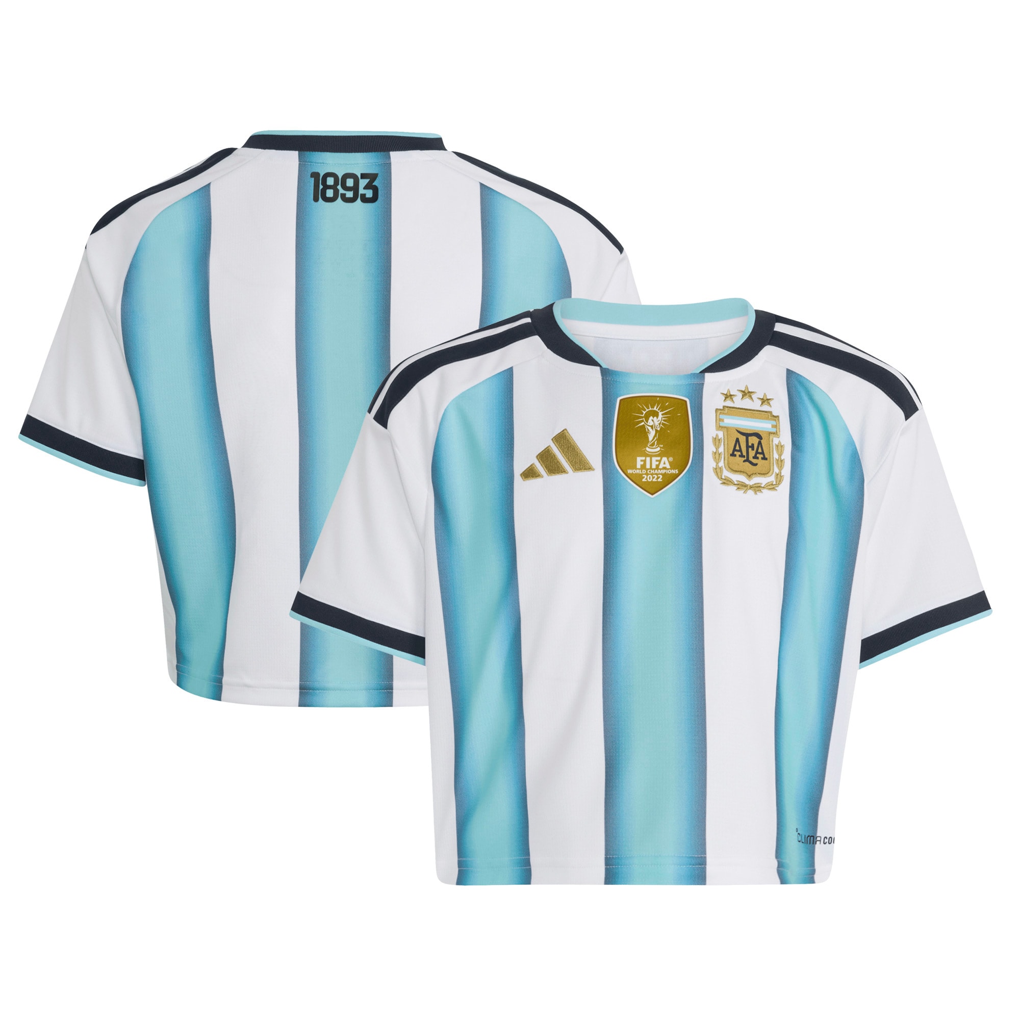  Argentina National Team Women's FIFA x World Cup 2022 Winners Home Cropped Jersey - White