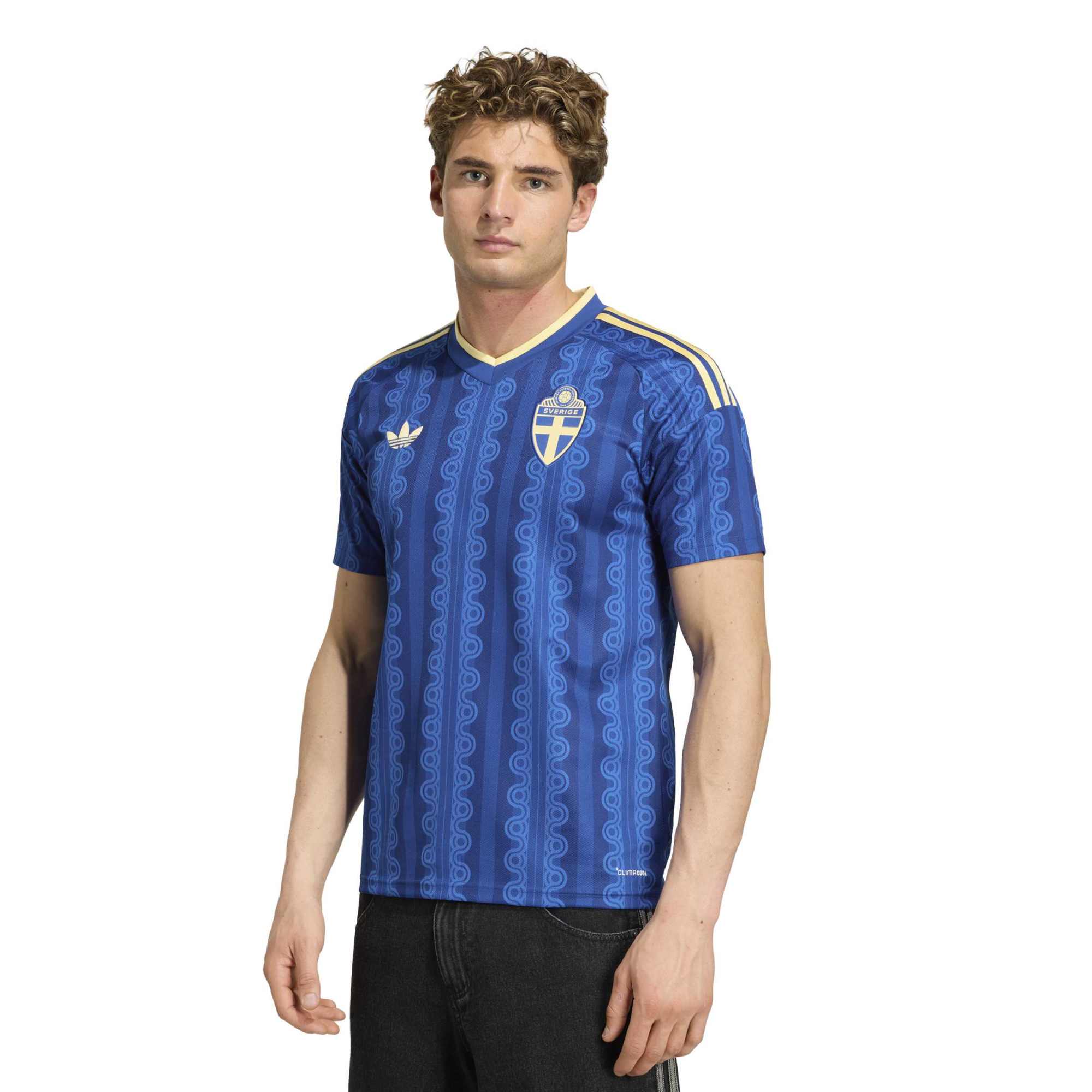  Sweden National Team FIFA x World Cup 2026 Jersey