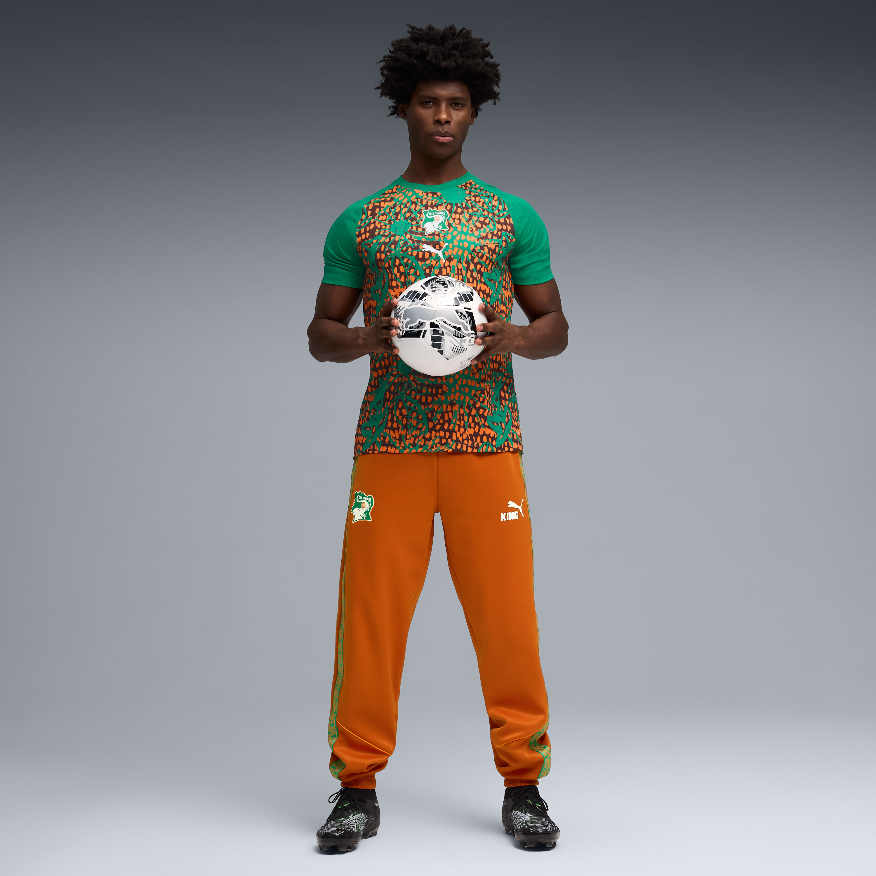 Ivory Coast National Team Puma Pre-Match Jersey - Green