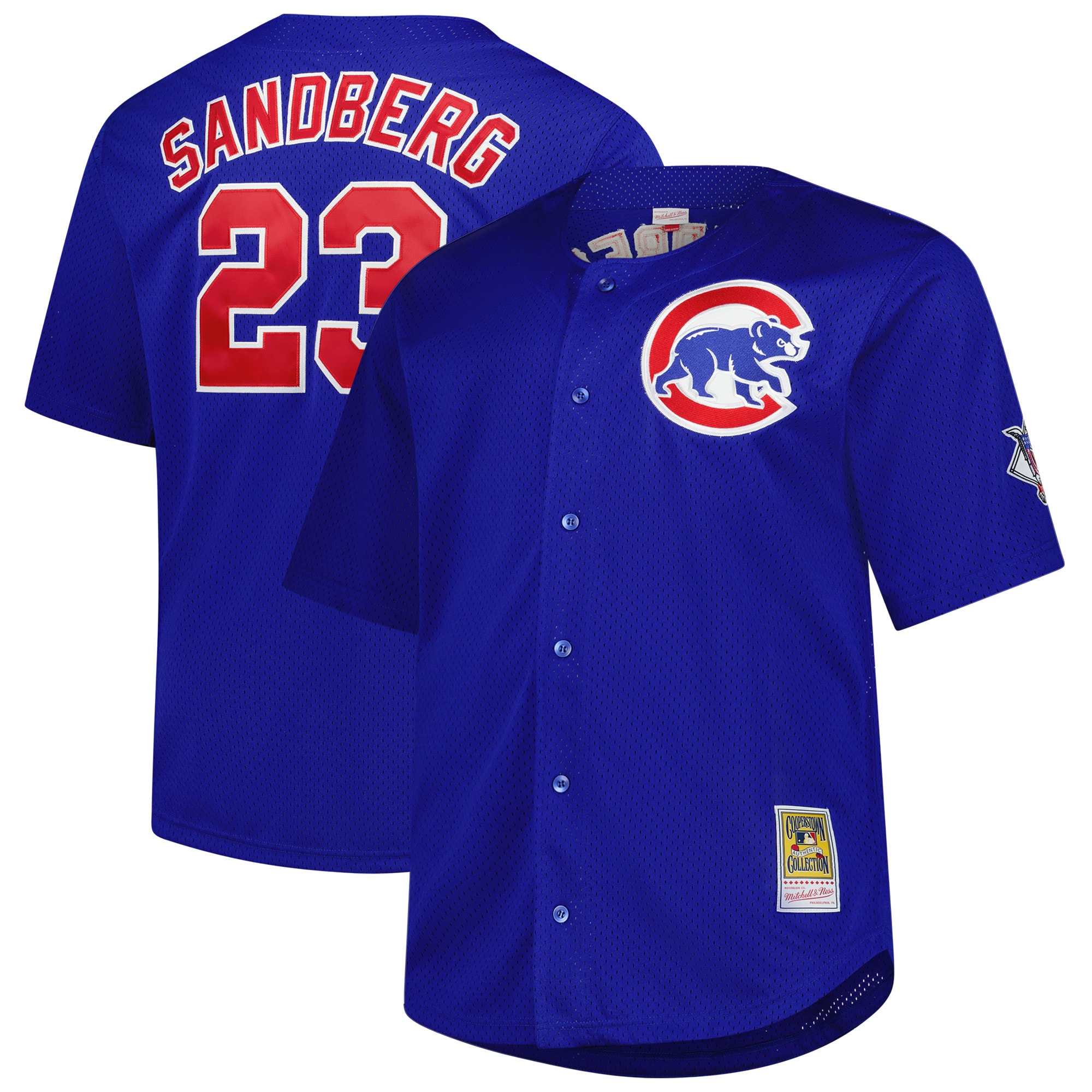 Ryne Sandberg Chicago Cubs Big & Tall Cooperstown Mesh Batting Practice Jersey - Royal