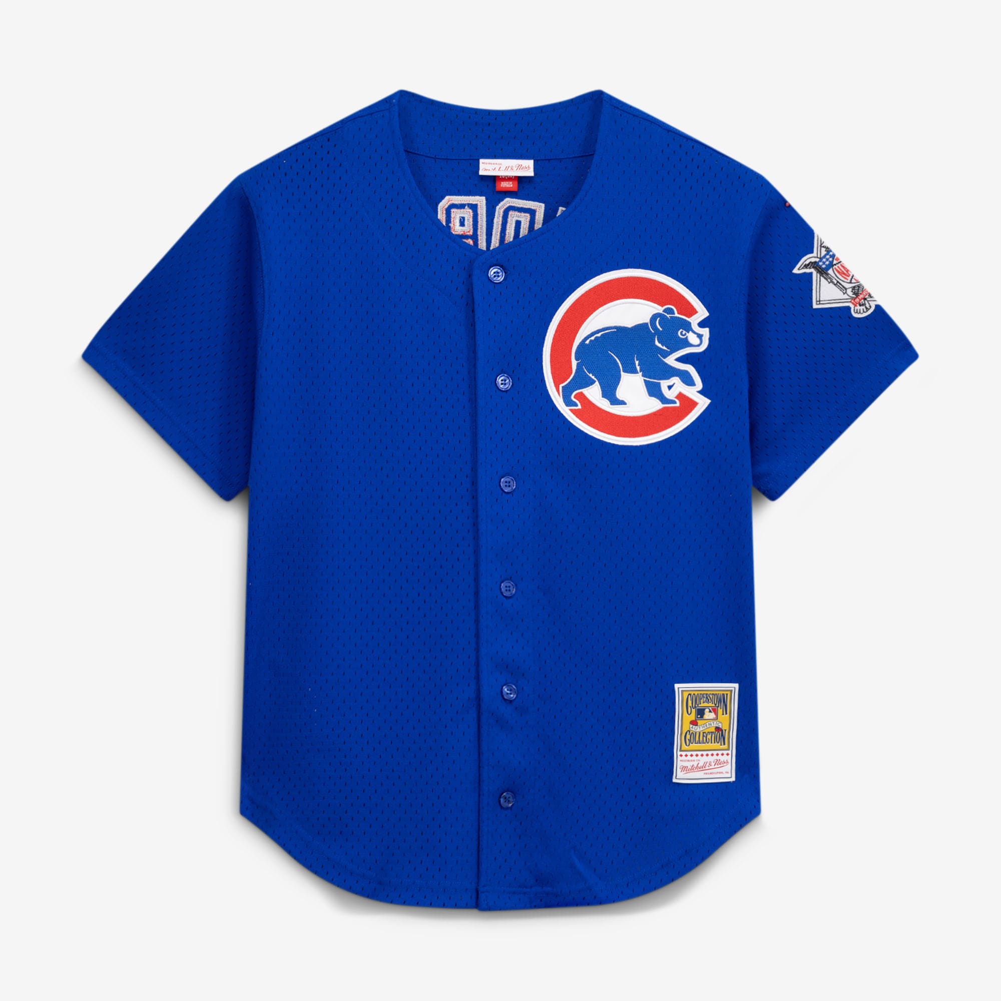 Ryne Sandberg Chicago Cubs Cooperstown Collection 1997 Mesh Batting Practice Button-Up Jersey - Royal